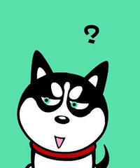 �ڹ�˾����һ��붼û�ǹ��� ���쵼����Ҳһֱ��