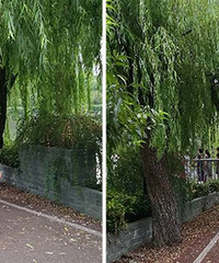 ���϶���·��һȺ���� ���Ҿ����ˣ�