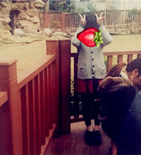 93��MM �з��г�