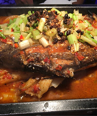 ����ζ���� ζ�������ر��� �ر𰮳ԣ�