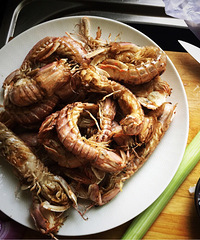 �ñ��ˣ�����һ���ƤƤϺ �ͻ���20��Ǯ��