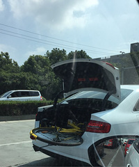 �����µ�͵С�Ƴ�����������