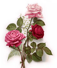 ���⣡���������һ���Ǯ����ˮ����Ǯ