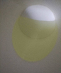 �����������˲����ˮ�� ��������˶������ˣ�