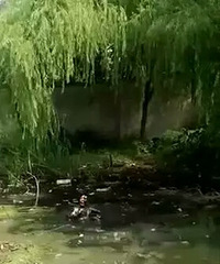 ������ˮ̶��Ϸˮ��  ���˸��������ܲ������ˣ�