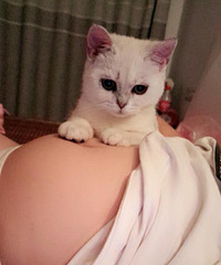 �����ĸ����� �����ǵĺ�������