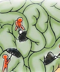 "海宁男子感冒发烧,肠道竟长出一串串“葡萄”!可能癌变"