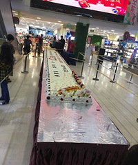 ĳ�����̳�11������ �ֳ������ൽ���� ��˵���ܳԵ��ƽ�