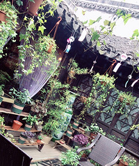 �Ҿ���ô��ƭ���ˡ�������͵͵�߻������