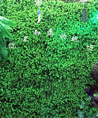 �º���Ҳ迧����ȥ�� ����װ�� ��������