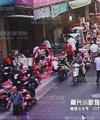 "【走歪路】海盐养甲鱼老板却跑到乍浦卖了两万斤葡"