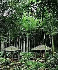 【十一去哪】拒绝人挤人!小众、便宜又好玩的地方都在这里了