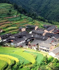 江浙沪5条国庆自驾线路:有森林大海 有古镇美宿...带上全家正好