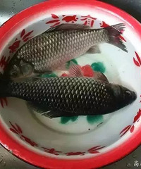 "你还在用菜刀刮鱼鳞了!用这招30秒快速去除,不伤手,赶紧学起"