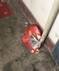 Ż�������ھӡ���������� ���ž��ŵ�һ�����ζ