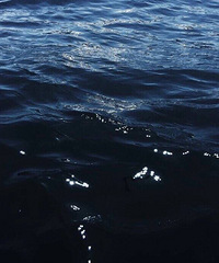 91������MM �㲻�ڵ�ÿһ�� �Һ�������ȹ���