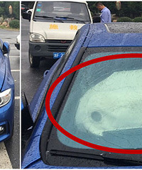 �賿������һ�����������ݣ���ȫ���Ҷ�������