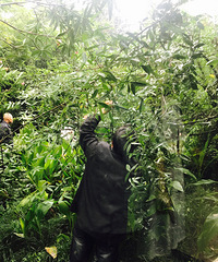 ĳ��������԰�ƻ�����ɻ��� ��������ҹ·С��