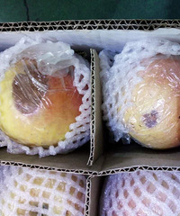 û�жԱȾ�û���˺��� �������﷢��һ����ƻ�� ����������