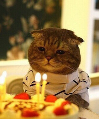 27�� ������ ϣ��������ղ���һ����