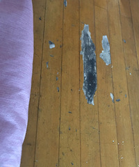 �ذ��������оȣ�