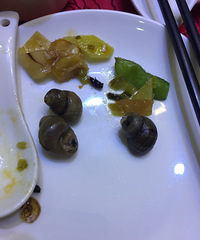 恶心!一千多的饭没吃几口就有苍蝇 服务员:后来飞进来的!