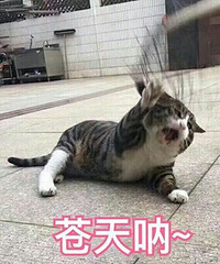 ���˸��죡����ε�ƴ�����ʹ��ط� ˾�������߹�ȥ��