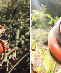 �Ҽҵ������� Ϸ̫�࣡