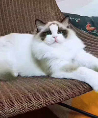 Ϊ�˱����鷳 �ҹ�������Ӱ� �ϰ���Ϊ����Ǯ�����