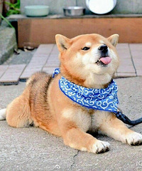 ���ڵ��̼�����£�ǰ�����ȶ���û�˻����ҿ��·��ÿ���