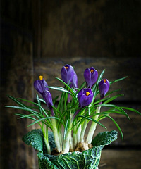 ��ȥ��һ�ܶ� ����ͺ���ȫ���Ϲ� �ж���������