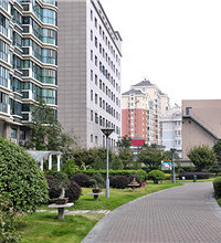 Ϊɶ���С��û������