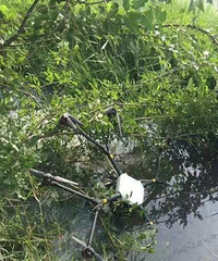 ����ʧ���ˣ������������ը���� �ڶ�̨��