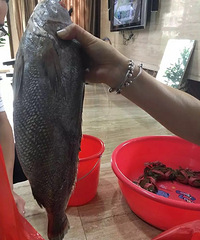 ����ң����Ÿ���׼����һ��Ѷ������Ҵ��ؼ�