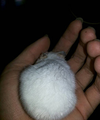 ���ǹ����һ���һ�� ���ѣ�����û�÷� ��û�Ӱ�ѣ�