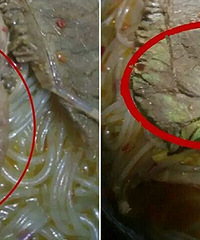 ����ĳ���ţ�ⷢ�̹� �����������ģ���