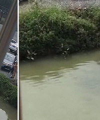 ����������ĳͣ�������ӷɽ���