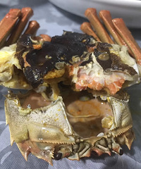 ΢������Ĵ�բз ���������е��±�