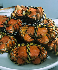 ������Ĵ�բз �������е���