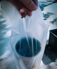 ���ޣ���ҵ����Բ������̫���ˣ�