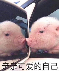 Ϊʲô���Ҫ�벻��ʶ���� Ϊʲô��ϣ��С���������