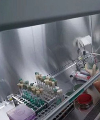 ���˱��ز����±�������ô��?������󹫲�