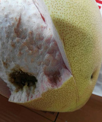 ���ˮ�����Աǿ�������Ƽ������ӣ����кö��˶��й��У�