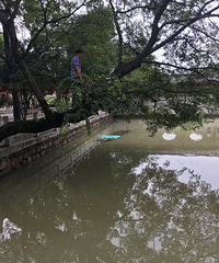 Ӵ���ܵĲ����� ����ĳ����������Ϊ�ĸ��ն������ˣ�