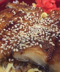 ʧ������ʲô��û�� ��ĩ��Ȼ����Ҫ��һȦ���ܳԳ���