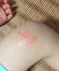 ���������м������� ���˾�ץ ץ�ĺܺ� �����������ǲ���!