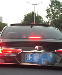 ��������ʲô��������ֵĳ���