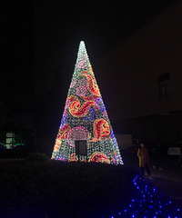 �ÿ��ֺ���