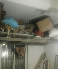 ����Ʊ��ɨ���� �ż��ڼ����������� ���˱����˳���