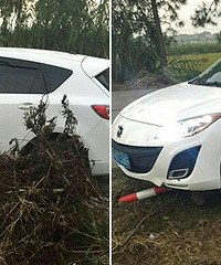 �������ȵ�ҡҡ�λλ��Ƽ� ײ����